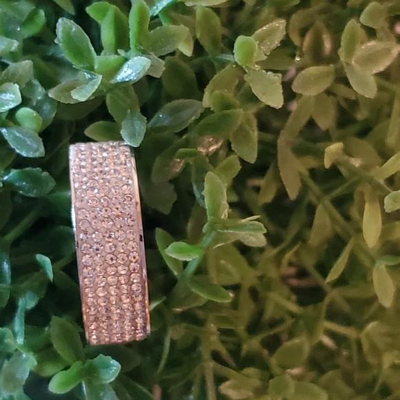 Sparkling Sliver Band - Picture 5 of 7